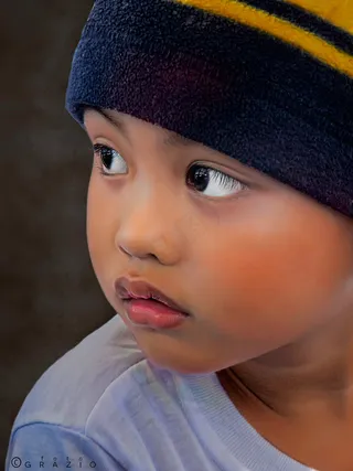 Big Brown Eyes（免费下载此图片-下方阅读）