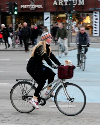 自行车,折叠自行车,三轮车,运动自行车,人力车,经典哥本哈根[带宠物]