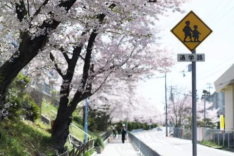 日光 日光