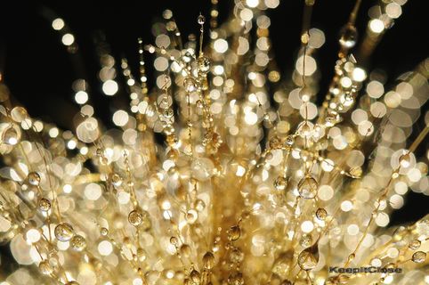 水晶精简版#2 水晶精简版#2