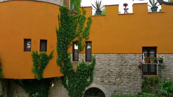 盆栽植物,古建筑,建筑,啤酒,P1120586