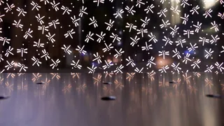 烟火表演,放礼花,焰火晚会,礼花绽放,烟花大会,P1000110