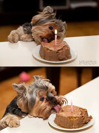 生日快乐！！！