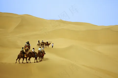 沙漠,驼队,沙漠之舟,花卉,雨伞,内蒙古沙漠