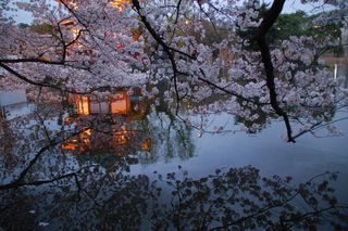 树,古建筑,山峦,中式传统建筑,北海道,DSC_0305