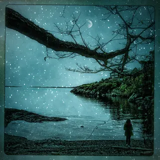 在一首毕生的歌声中飘荡，在旋律飞舞的雾中。