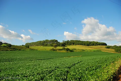 1001_0044 1001_0044