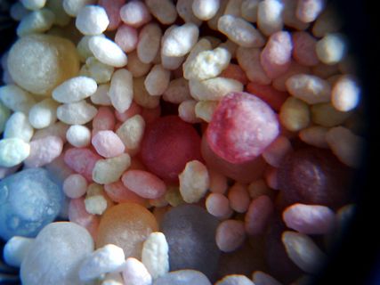 鸡头米,玉珠,手链,珍珠,海洋球,年糕多维数据集