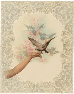 阳光 阳光