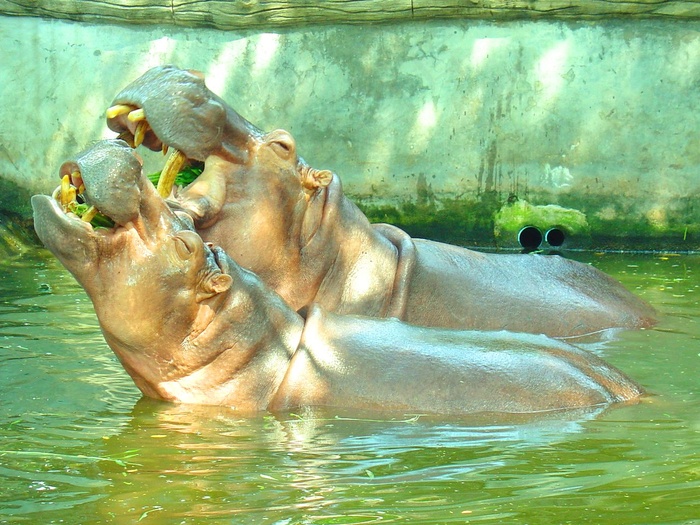 与您同行