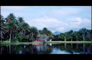树,天空,风景,山峦,恩平凤凰生态乐园,。 Bosque da Barra-Parque ArrudaCâmara