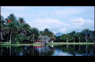 树,天空,风景,山峦,恩平凤凰生态乐园,。 Bosque da Barra-Parque ArrudaCâmara