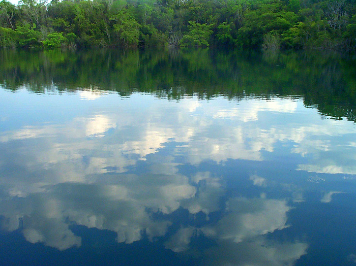 Cecal Azul，Bacalar