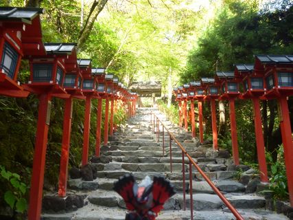 京都市仓马市伊夫特（98）（纪文神社）