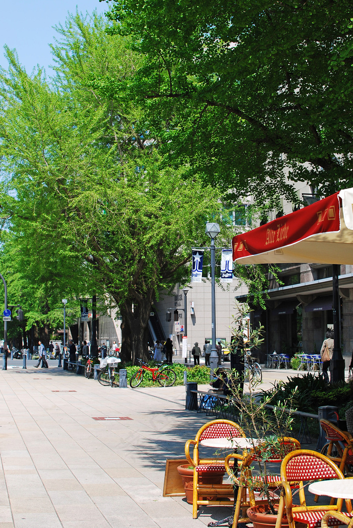 树,椅子,街道,城市街道,地板砖,开咖啡馆