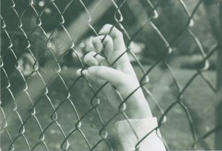 菱形网,六角网,卷铁丝网,栅栏,围栏,被困