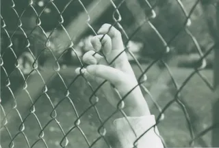 菱形网,六角网,卷铁丝网,栅栏,围栏,被困