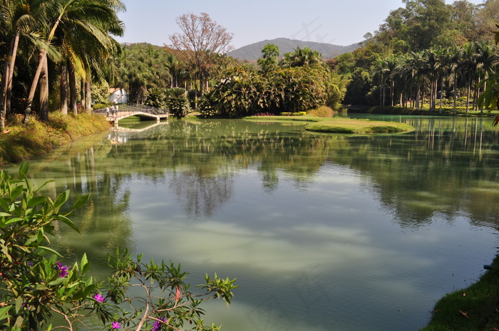 湖泊,自然公园,江河,树,峡谷,Inhotim