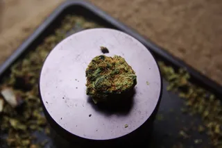 地质岩石土壤,碗,菜肴,钟角蛙,盘子,未知菌株