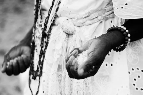 乐器,虫子,海象,卡通动漫人物,水獭,三月之日。