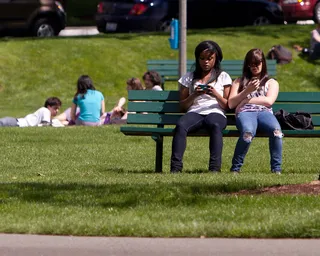 滑草,足球运动,飞盘,草原,园林景观,100605_2122_Olympia Downtown Walk