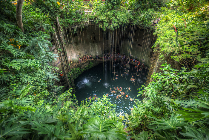 树,自然公园,虫子,峡谷,竹海,Cenote Ik Kil