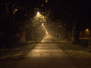 公路,路灯,街灯,天空,城市街道,晚上耶稣绿