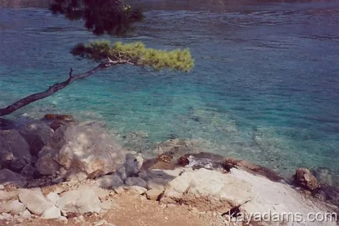 湖泊,海洋,峡谷,油画,江河,我会留在这里! 湖泊,海洋,峡谷,油画,江河,我会留在这里!