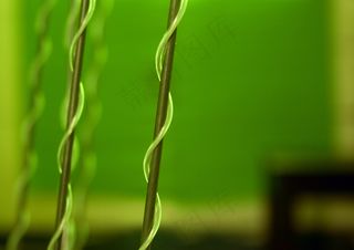 嫩芽,水珠图,桌面绿植,电线/电缆,新芽,螺旋线绕线-布赖恩·埃诺（Brian Eno）扬声器在马尔伯勒故居（Marlborough House）进行声音装置