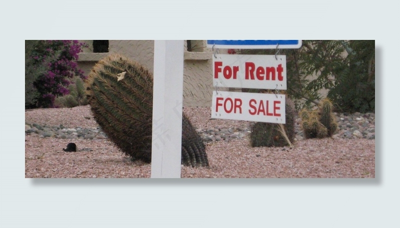 轿车,街道,树,墙,居民楼,租赁与购买