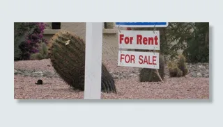 轿车,街道,树,墙,居民楼,租赁与购买