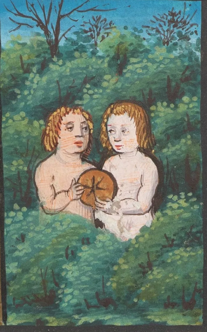 卡通动漫人物,油画,图画,,双子星座的16世纪手稿中的十二生肖