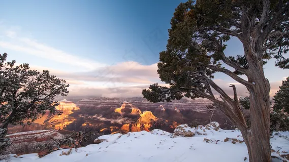 山峦,天空,树,霞光,胡杨,亚利桑那大峡谷 山峦,天空,树,霞光,胡杨,亚利桑那大峡谷