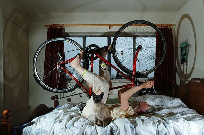 折叠自行车,自行车,驯鹿,自行车架,水车,训练