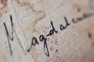 书法,行军蚁,白蚁,工笔画,名称中有什么？