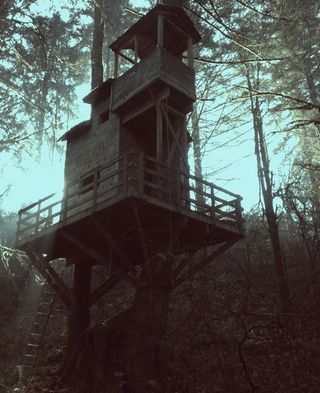 'Ewok Village '–俄勒冈威尔逊维尔– 2013年1月20日