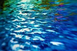 海洋,湖泊,沙丁鱼,水珠,水泡,流