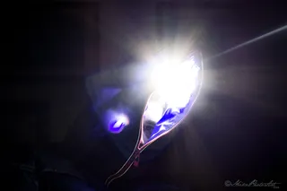 灯,吸顶灯,车灯,台灯,鼠标,轻松的头脑