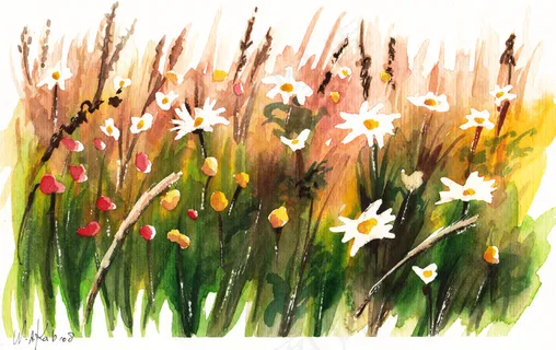 白色，黄色和红色