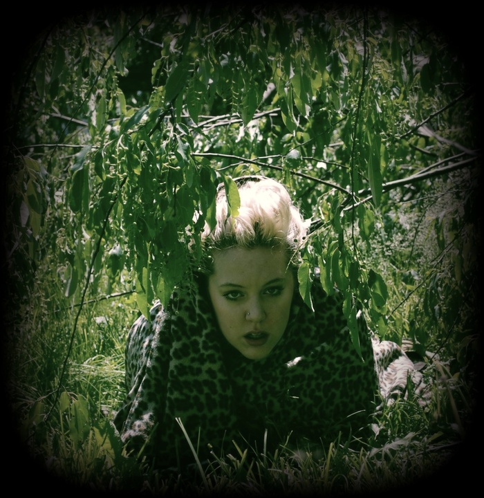 竹海,小狗,卡通动漫人物,鸟类,树,第005天。