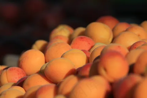 杂货店,marchédu jeudi(ORANGE,FR84) 杂货店,marchédu jeudi(ORANGE,FR84)