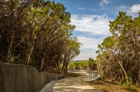 植物,树,天空,桥梁,风景,星期五快乐栅栏
