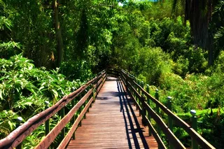 藏身之处的捷径！