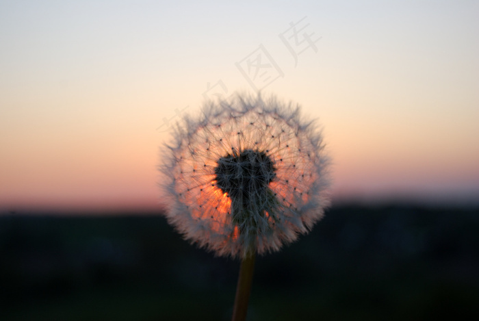 众神的面具