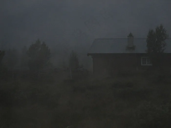 浓雾,雨雾,树,室内一角,墙,害怕