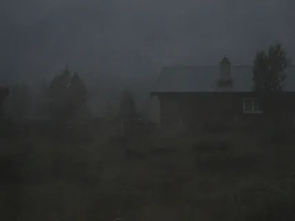 浓雾,雨雾,树,室内一角,墙,害怕 浓雾,雨雾,树,室内一角,墙,害怕
