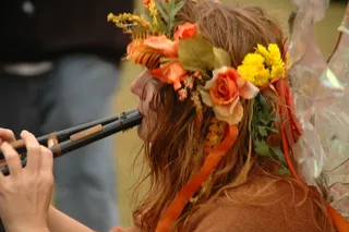 花卉,面塑,屏幕截图,菊花,工笔画,魔法仙子