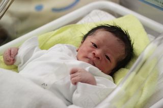 婴儿,病房,手编帽,男孩,女孩,侄子-分娩。