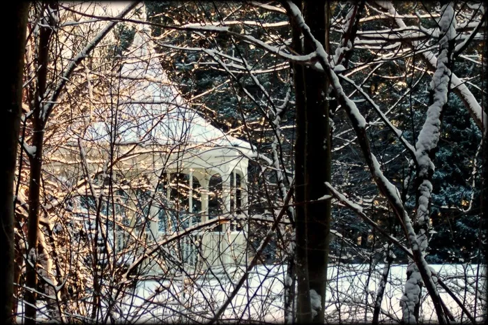 枯枝,冰雪,雪树银花,树,樱花树,冬季凉亭