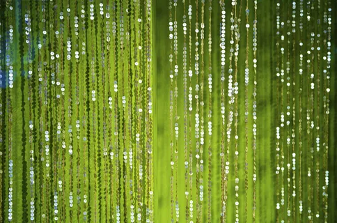竹林,竹子,生态林,模糊图片,松林,绿色闪光场景 竹林,竹子,生态林,模糊图片,松林,绿色闪光场景
